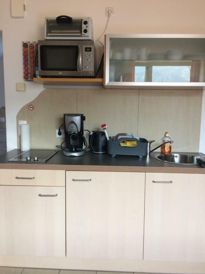 Ferienwohnung Frieser Steindorf am Ossiacher See Exteriör bild